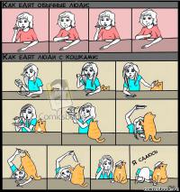 Не все кошки вредные хулиганы, но эти точно