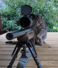 И не надо обходить территорию...