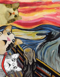 Фотоподборка за 10.12.2014