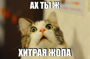 Он прицепил кошке на холку зажим для бумаги