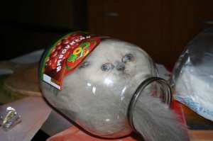 12 очень важных геометрических фигур