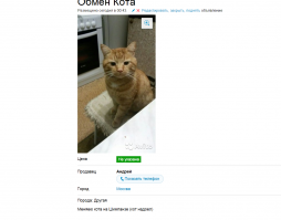 Прикольные объявления с Авито