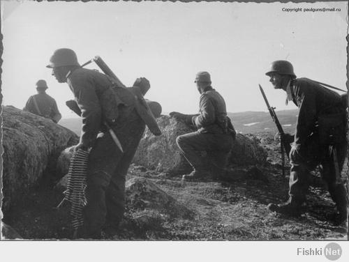 Поисковики из Военно-исторического клуба «Заполярный рубеж» нашли останки двух советских солдат, лежавших на высоте 122 в предгорье хребта Муста Тунтури. Удивлению поисковиков не было предела – ведь это то самое место, запечатленное на знаменитых фотографиях расстрела советских пленных солдатами 136-го Тирольского горнострелкового полка 2-й горнострелковой дивизии корпуса «Норвегия». Эти фотографии были сделаны офицером-тирольцем через неделю после начала Великой Отечественной войны – 30 июня 1941 года, а после войны они стали самым наглядным доказательством военных преступлений вермахта. Все-таки, война на Восточном фронте идет всего неделю, а немецкие горные стрелки без суда и следствия расстреливают пленных советских солдат.

И вот, летом 2013 года члены Военно-исторического клуба «Заполярный рубеж» побывали в районе 122 высоты и нашли на том самом месте у валунов останки советских солдат, которые и лежали в тундре за Полярным кругом свыше 70 лет.

При одном из бойцов был найден и солдатский медальон, который принадлежал Сергею Макаровичу Королькову, 1912 года рождения, уроженцу деревни Хмелище Великолукской области.
В Центральном архиве Министерства обороны Российской Федерации (ЦАМО РФ) удалось найти копию личной карточки красноармейца Королькова. Итак, крестьянин по социальному положению, он начал трудится с 1922 года в колхозе. Потом, видимо, его семья была раскулачена и он оказался в Кировске, где его взяли работать разборщиком на руднике треста “Апатит”. Интересный факт из его биографии – 19 августа 1932 года уволен, т.к. не вернулся из отпуска. С 17 октября 1932 он вновь принят на работу бурильщиком, и больше у него не было ни прогулов, ни взысканий. Состоял в профсоюзе.

Также выяснилось, что расстрел пленных красноармейцев на 122 высоте был несколько раз описан немецкими историками, которых потрясла не только спокойная выдержка русских солдат перед лицом смерти, но и тот факт, что элитная часть вермахта – 136-го Тирольский горнострелковый полк 2-й горнострелковой дивизии корпуса «Норвегия» – в первую же неделю войны стала совершать тяжкие военные преступления. И немцы стали оправдывать своих «эдельвейсов».
Вот цитата из книги Ганса Рюфа «Горные стрелки перед Мурманском», где приводится рассказ оберлейтенанта Роде, командира 2-й роты 136-го горнострелкового полка: “Мы послали вперёд наших разведчиков. Они попали в русскую засаду. Те, кто не был в ней убит, попал к русским в плен. Я всё это видел своими глазами с нашей основной позиции, но мы были в таком положении, что ничем не могли помочь нашим камерадам. Русские это знали, и поэтому делали всё на виду. Они вывели наших камерадов на открытое место и долго издевались над ними на наших глазах, прежде, чем, наконец, убили их. Наши камерады приняли мученическую смерть. Я не могу спокойно вспоминать об этом. Мы ничего не могли сделать, и только смотрели на это. Наш командир давал каждому из нас свой бинокль и говорил: “Запомните лица этих русских!”. Он имел в виду двух русских, которые особо изощрённо издевались над пленными. Он сказал нам: “Когда русские успокоятся, вы пойдёте к ним, принесёте тела замученных ими камерадов, но главное – приведёте живыми тех двух русских!”. Мы выполнили приказ нашего командира. Эти двое русских были взяты нами живыми и приведены в наше расположение. Наш командир сказал им: “Здесь нет органов военной юстиции, и поэтому судить вас будем мы сами!”. Он приказал одному из нас всё записывать, а другому – фотографировать каждый момент. После допроса наш командир приговорил обоих русских к казни и приказал им самим выкопать себе могилы. Один из нас всё записывал, а другой – снимал. После того, как они выкопали себе могилу, мы их расстреляли. Русские прекрасно понимали, за что их расстреляют. После всего этого наш командир отправил все записи и фотоплёнку в штаб.”

Но фотографии полностью опровергают слова оберлейтенанта Роде: никто не копал могилы солдатам – тирольцы просто бросили тела там, где их настигла смерть, и ушли. Очевидно, и рассказ о зверствах наших солдат точно также “приукрашен”.

А вот цитата из книги «Это был эдельвейс» Матиаса Кройтлера и Карла Шпрингеншмида: Приказ, который был отдан горнострелковым корпусом боевой группе Наке, звучал лаконично: „Перешеек полуострова Рыбачий нужно блокировать”. 136-й тирольский полк направлялся занимать перешеек Рыбачьего одним батальоном, второй батальон должен был пробиться в Титовский лагерь в устье одноимённой реки. Третий батальон был назначен для выполнения задач снабжения наступающих подразделений.
…Русские между тем заняли высоту 122, расположенную вглубь от побережья, которая господствовала над восточной частью перешейка и названную позднее «Самокатной горой». С занятием этой высоты русские получили возможность вести огонь в тыл батальона Ортеля. Находящаяся в авангарде 2-я рота 136-го полка (командир роты – Роде) выслала свою разведгруппу на занятую противником высоту. Однако разведгруппа попадает в засаду и погибает. Командир роты хочет атаковать высоту. Майор Хаук с тяжёлым сердцем соглашается с этим решением, тем более, что у этой роты отсутствует тяжелое оружие поддержки пехоты.
Утром l-го июля, в 3 часа утра рота Роде начинает атаку. Сильный пулемётный огонь русских замедляет продвижение. Только когда туман закутывает гору и скрывает атакующих от взора бдительных русских, бойцы имеют возможность пробиваться вверх по склону. Командир отделения Колер поет с переливами (на тирольский лад), чтобы установить взаимодействие с соседними отделениями, и скоро это пение с переливами слышится со всех сторон, пение, которое должно было служить только взаимному опознаванию, станет у тирольцев стремительным боевым кличем. Кто знает, не пели ли с переливами также в 1809 на горе Изель в похожих ситуациях, чтобы показывать врагу, что здесь атакуют выходцы из Тироля. В 7 часов 30 минут высота взята.
Для разведгруппы помощь прибывает слишком поздно. Русские перебили беззащитных пленников самым зверским способом. Глубокая обида охватывает наших бойцов. Этот варварский способ ведения боевых действий чужд нам. Это трусливое преступление впервые доказывает нам, что советские осознанно не уважают действующие на войне законы человечности. Времена, когда война могла вестись по рыцарским правилам, как например в Норвегии, проходят окончательно.
Рота Роде оплатила свой успех, который закрыл важную брешь на фронте перешейка, тяжелыми потерями: 16 убитых нашли свой последний покой на высоте 122.
Однако, опасность еще не была полностью устранена, поскольку дорога, идущая по восточному побережью перешейка, была всё ещё в руках русских. Только атака 2-го эскадрона 67-го самокатного батальона закрыла этот последний ещё открытый участок на перешейке…
Здесь мы уже не видим сцены расстрела выживших советских бойцов на высоте 122 – авторы рассказывают о рыцарстве, а рыцарям не пристало нарушать законы войны.
Ну и наконец ещё одно описание, на этот раз непосредственного участника событий, руководившего в том числе и боем на высоте 122 в первые часы войны. Это воспоминания В.П. Барболина, которые были выпущены в 1980 г. мурманским книжным издательством в виде книжки с названием “Незабываемый Рыбачий”. И как пишет ветеран, никто гитлеровцев не пытал, напротив, единственному выжившему в том бою тяжелораненному солдату вермахта наши бойцы даже пытались оказать медицинскую помощь.
“Разведчик, пытавшийся перевязать раненного, подошел и сказал:
- Помощь не требуется. Фашист отдал богу душу…”
Возможно, он действительно пытался перевязать раненого, возможно, он просто добил умирающего солдата – это уже неважно. На войне у каждого своя правда, обрастающая затем мифами и красивыми легендами. Но правда состоит и в том, что никто фашистов на полуостров Рыбачий не звал. И наши бойцы защищали свою землю – защищали яростно, умело, заставляя врага платить кровью за каждый захваченный камень. Посмотрите еще раз на эти фотографии. Посмотрите на спокойную уверенность русских богатырей, на то чувство бесконечного морального превосходства, с котором они перед лицом смерти смотрят на съежившихся от страха немецких элитных палачей, вдруг осознавших, что войну с этими богатырями нельзя выиграть.
Вечная им память.