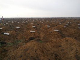 Их так и хоронят - под табличками "Хирургические отходы" Но тут надо сказать что Парашенко исполняет волю своего народа - хоть и в виде органов но они все же попадут в Европу.