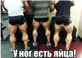 Фишкина солянка за 12.11.2014