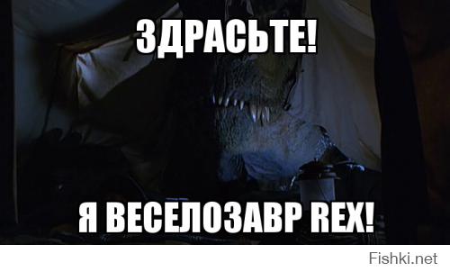 Утренние виды из палатки