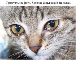  Историй с моралью
