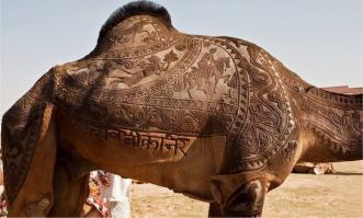 Фишкина солянка за 11.06.2014