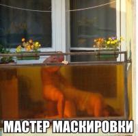 фишкина солянка 07.09.2014