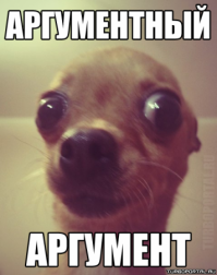 Пропустил даму!