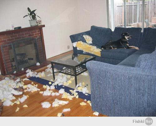 Да-да, так и будет