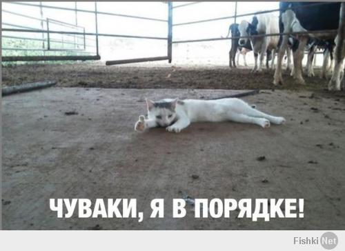 я с котаном созвонился, у него все ****ись, можете не переживть