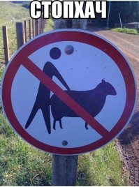 Наказал наглого водителя с пистолетом. Мужик красава! 