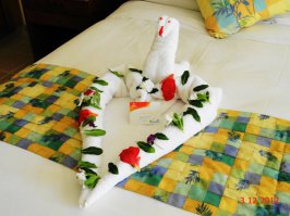 мне в Египте в городе Хургадинске за 1$ чаевых каждый день таких лебедей делали: