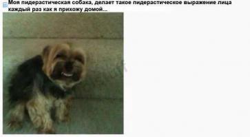 Фишкина солянка за 09.06.2014