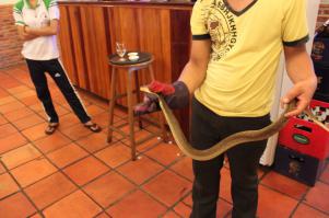 За 35-40 долларов можно заказать себе очень дорогое по местным меркам лакомство - кобру. Которой отрезают голову при тебе, снимают кожу, вытаскивают сердце, а кровь сливают в стопку с водкой...  вообщем бьющееся сердце надо съесть, а водкой запить