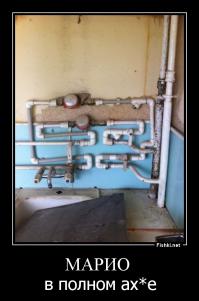 Такое возможно только в России