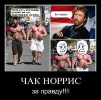 Несколько фактов о Чаке Норрисе