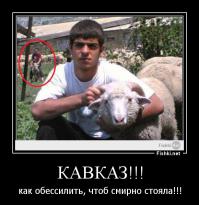  Самые жуткие “фотобомбы”