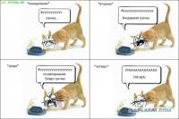 Гречневый кризис глазами блогеров