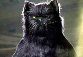 Вот ещё: Кот Бегемот