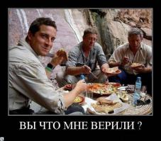 Медвежий угол Где обитает и куда любит ездить главный хищник экстремал