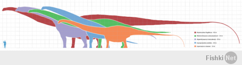 Ну пока еще однозначно не сказали нет Амфицелии:
Если амфицелия всё же описана правильно, то её длина, по расчётам, составляла от 40 до 62 метров[1][2], а масса — до 155 тонн. Тогда это, похоже, не только самый крупный динозавр за всё время их существования, но и самое крупное из известных животных