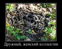 А неправильный вывод то, баб-колег возмутило не то что афтор когото "драл"(в их восполеных умах), а приревновали что не их)))