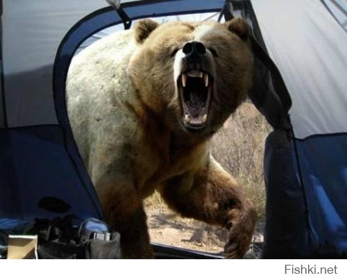 Японец Мошио Хирошино очень любил фотографировать диких животных, особенно медведей.
А медведи, животные суровые....
В общем это последняя фотография Мошио Хирошино
