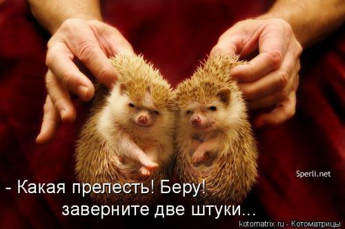 Беру оба!!!