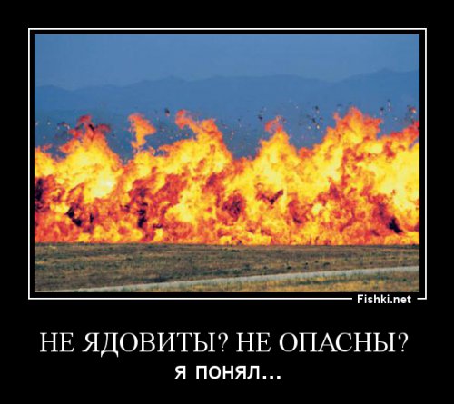 «Волосы ангела»: пауки окутали здания и поля одеялами из паутины