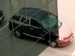 Натуру не скрыть )))