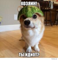  Картинки со смешными подписями