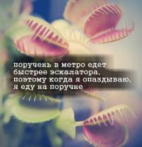 А ЦВЕТОК ДЕЛО ГОВОРИТ!