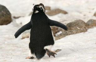 Любовь - она такая!!! 