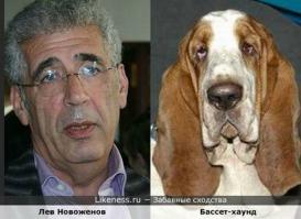 Собаки похожие на кого-то другого 