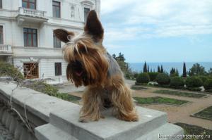 Как и у меня???