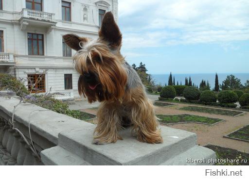 Как и у меня???