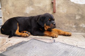 :) Мой Амиго)