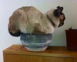 явно очень удобно