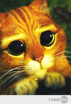 Подборка видео от 10.01.2014 