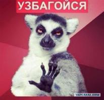 Зборка завершена узпешно)))