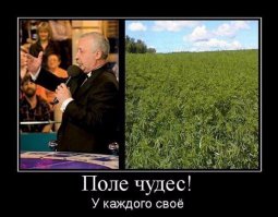 Британец выращивает мебель