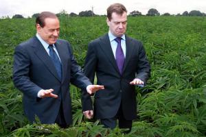 Отредактируйте мою фотку в редакторе 