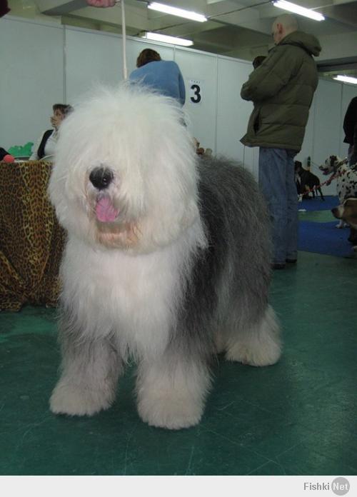 Подборка видео от 05.05.2014