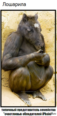 Мошенники освоили новый способ вымогательства