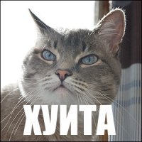 Оценю пост. Главный критерий - полезность.
