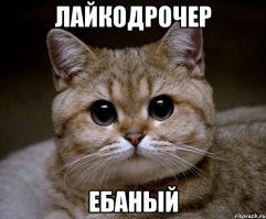 Водитель решил что самый умный