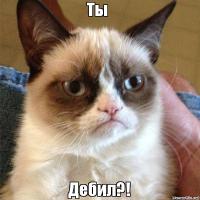 Защитник туалета 