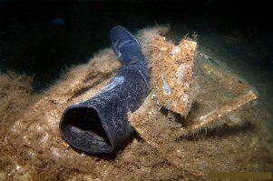 А я это сам делаю... ;)